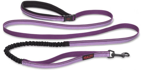 Company of Animals Halti All In One Lead for Dogs Purple