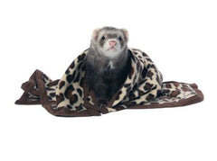 Marshall Designer Fleece Blanket for Small Animals
