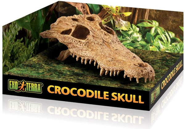 Exo Terra Terrarium Crocodile Skull Decoration