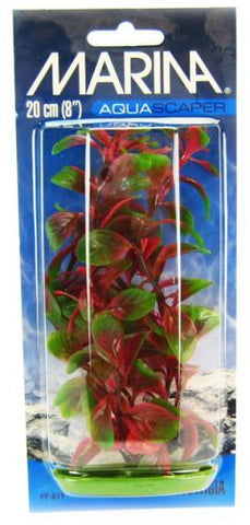 Marina Red Ludwigia Plant