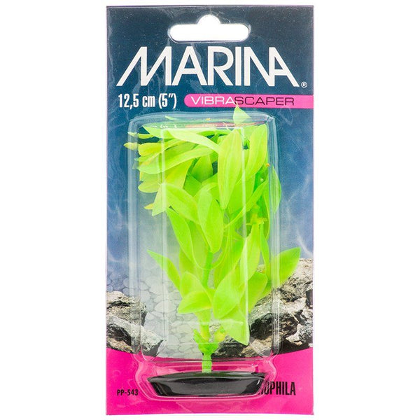 Marina Vibrascaper Hygrophilia Plant - Green DayGlo