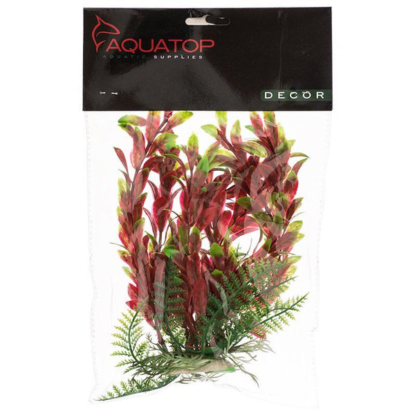 Aquatop Hygro Aquarium Plant - Red & Green