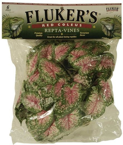 Flukers Red Coleus Repta-Vines