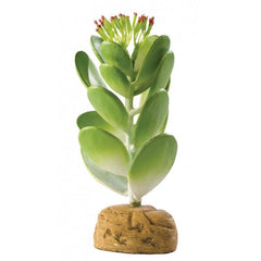 Exo-Terra Desert Jade Cactus Terrarium Plant