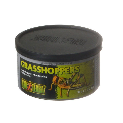 Exo-Terra Grasshoppers Reptile Food