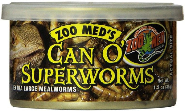Zoo Med Can O Superworms Extra Large Mealworms
