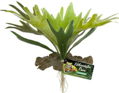 Zoo Med Naturalistic Flora Staghorn Fern