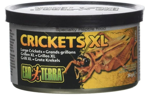 Exo Terra Canned Crickets XL Specialty Reptile Food