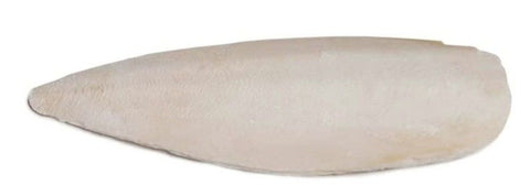 Prevue Cuttlebone Birdie Basics Large 6" Long